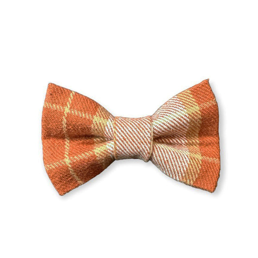 Turkey Tester Bow Tie