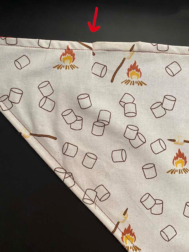 Toasty Bandana (Not Sew Perfect)