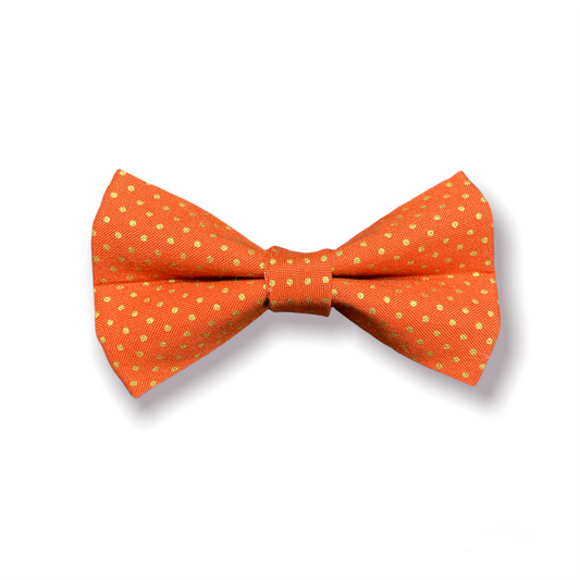 Pumpkin Spice Bow Tie