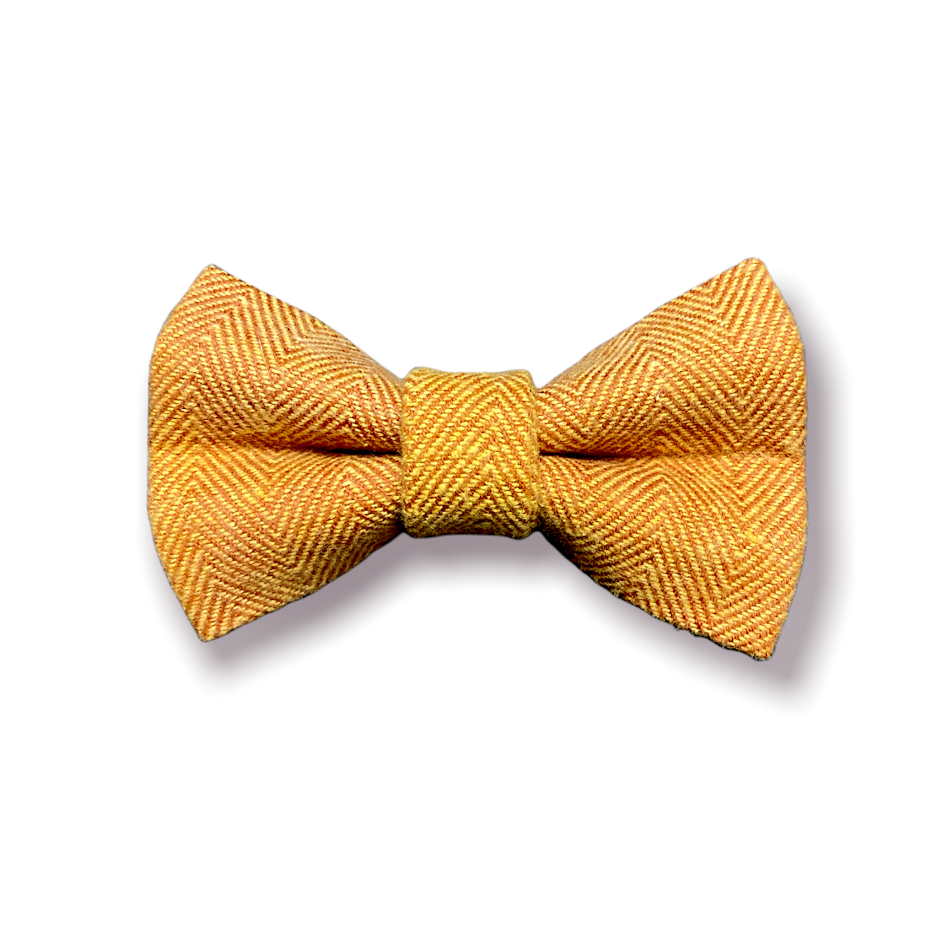 Cider Bow Tie