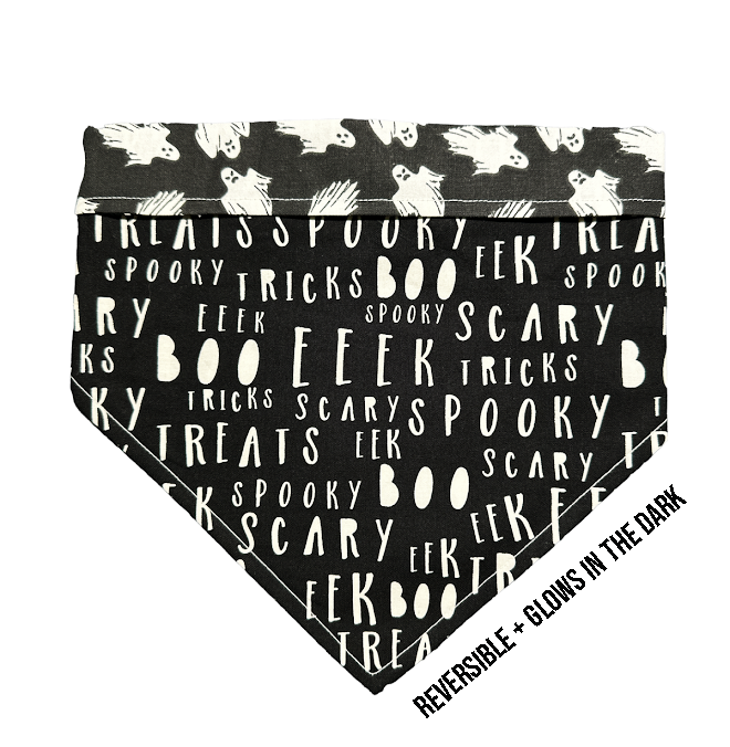 Spook Show  Bandana