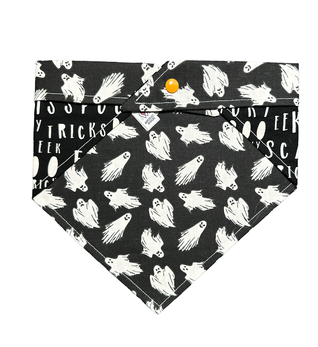 Spook Show  Bandana